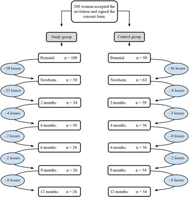The Effects of Prenatal Diagnosis on the Interaction of the Mother–Infant Dyad: A Longitudinal Study of Prenatal Care in the First Year of Life